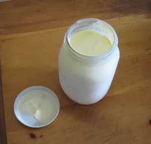 Raw Cow's Kefir: Half Gallon