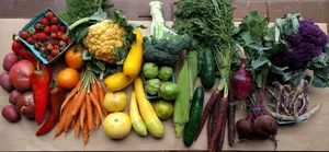 CSA BOX 25