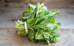 Arugula