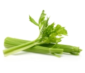 Celery