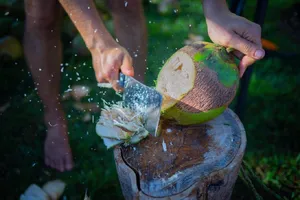 Duplicate of Coconut Water 32 oz