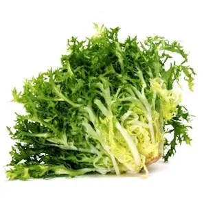 Escarole