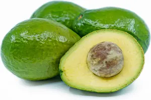 Avocado