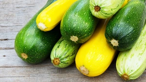 Summer Squashes