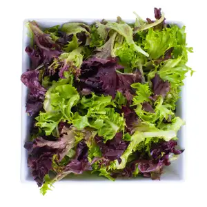 Spring Lettuce Mix