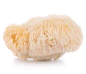 Lions Mane Mushrooms