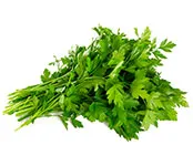 Curly Parsley