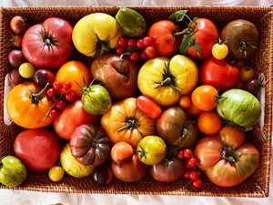 Tomatoes (Mixed Heirlooms)