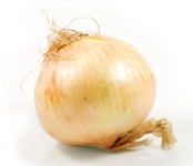 Vidalia Onions